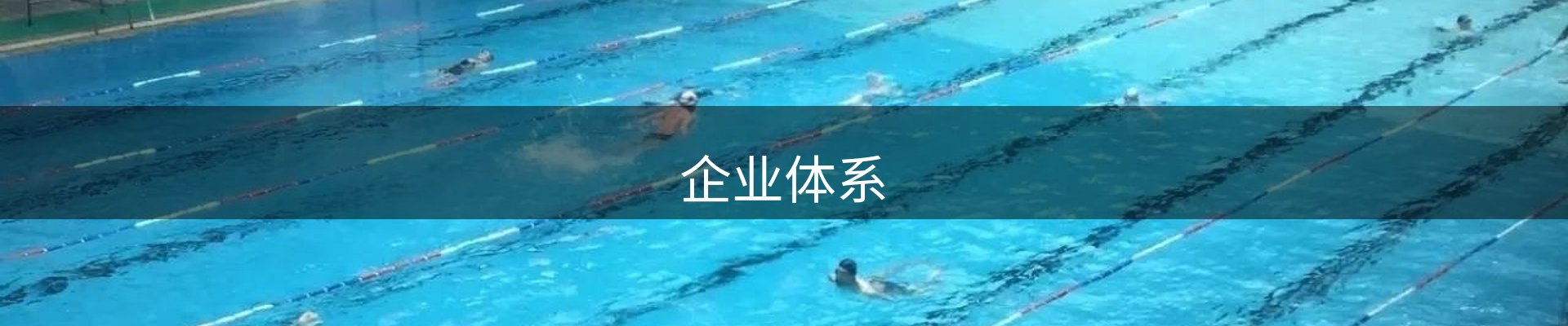 企业体系